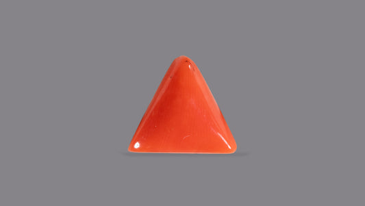 Italian Red Coral 5.94 Carats / 6.53 Ratti
