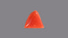 Italian Red Coral 4.93 Carats / 5.42 Ratti
