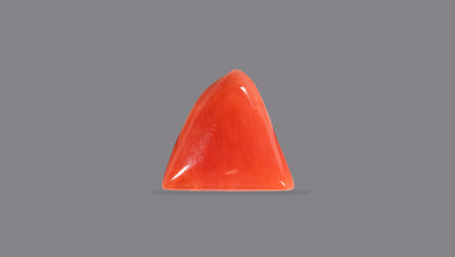 Italian Red Coral 4.93 Carats / 5.42 Ratti