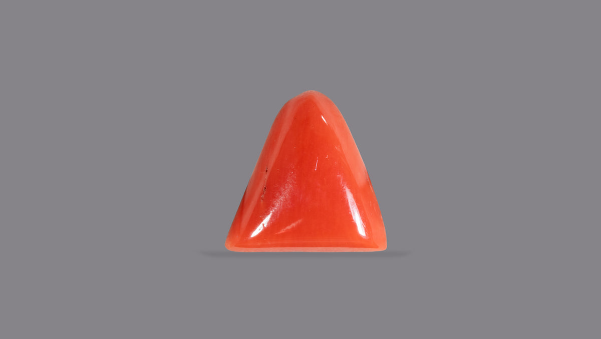 Italian Red Coral 6.08 Carats / 6.68 Ratti
