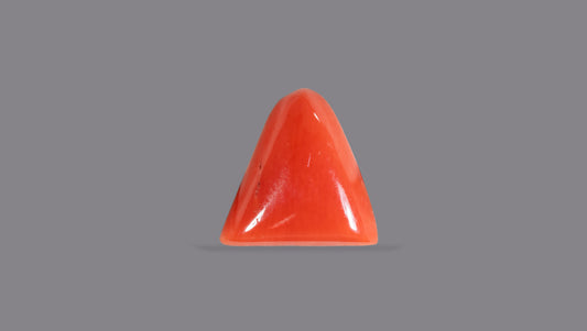 Italian Red Coral 6.08 Carats / 6.68 Ratti