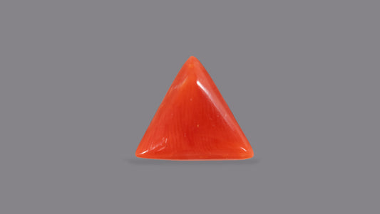 Italian Red Coral 6.21 Carats / 6.82 Ratti