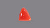 Italian Red Coral 5.32 Carats / 5.85 Ratti