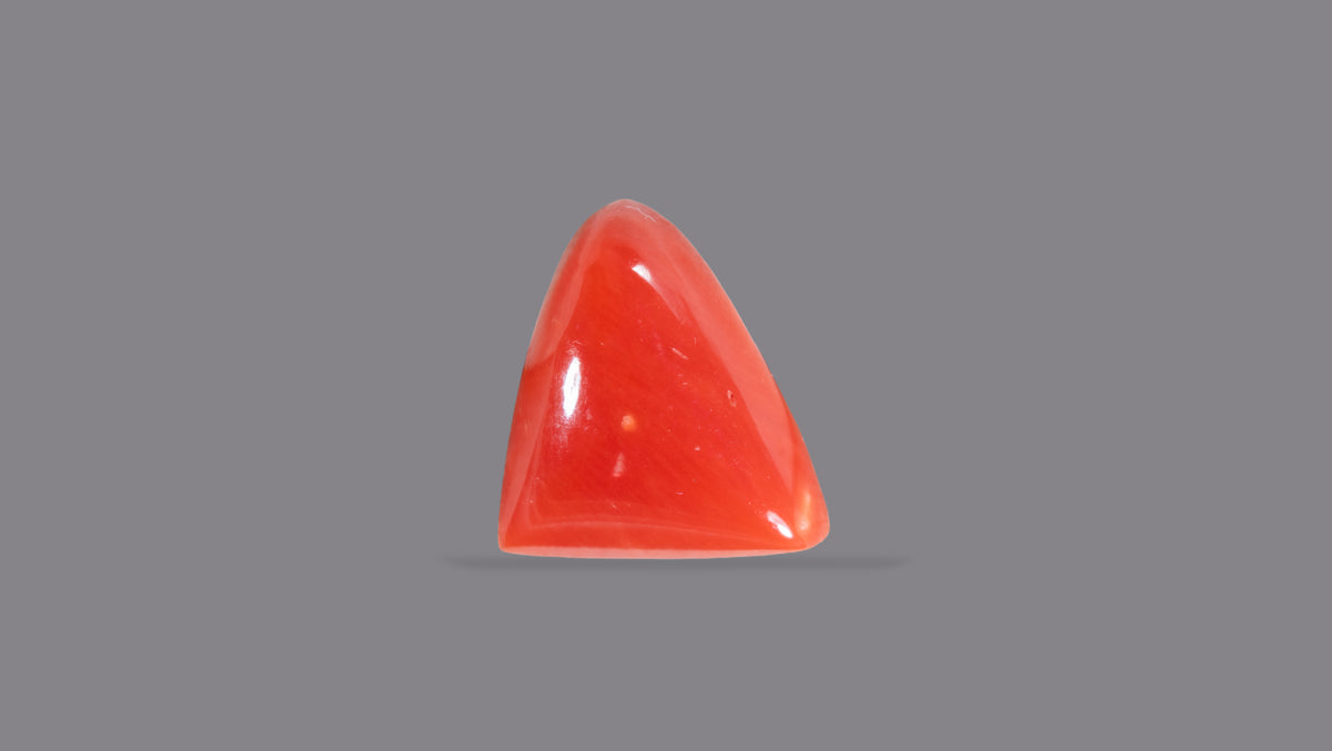 Italian Red Coral 5.32 Carats / 5.85 Ratti