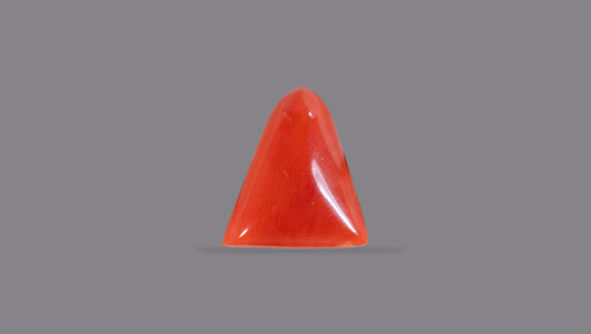Italian Red Coral 5.98 Carats / 6.57 Ratti