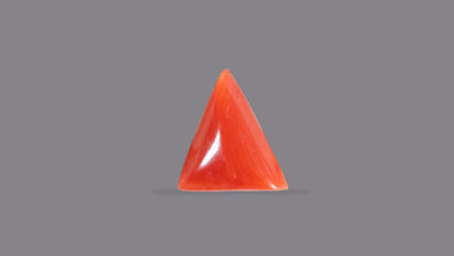 Italian Red Coral 5.04 Carats / 5.54 Ratti