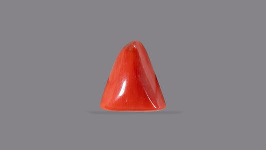 Italian Red Coral 5.95 Carats / 6.54 Ratti