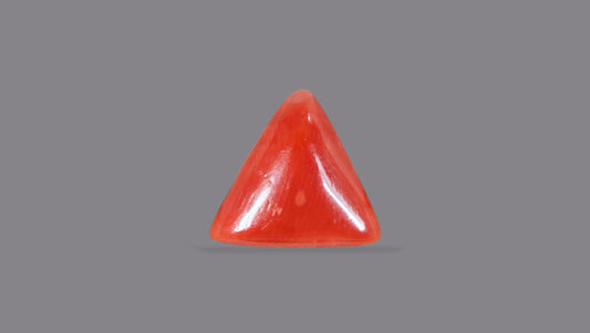 Italian Red Coral 5.09 Carats / 5.59 Ratti