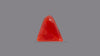 Italian Red Coral 5.75 Carats / 6.32 Ratti