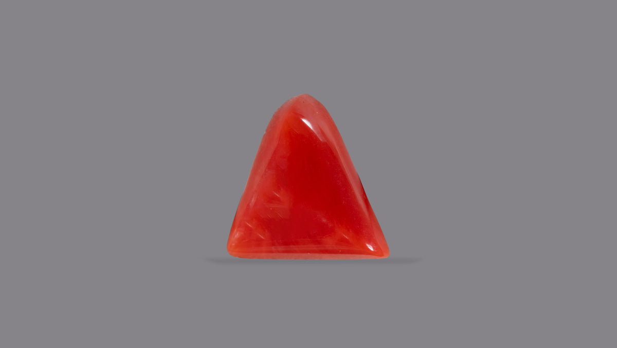 Italian Red Coral 5.75 Carats / 6.32 Ratti