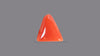 Italian Red Coral 6.06 Carats / 6.66 Ratti
