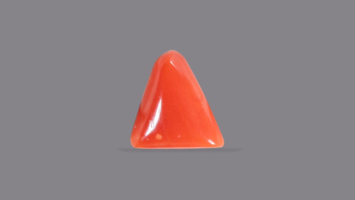 Italian Red Coral 6.06 Carats / 6.66 Ratti
