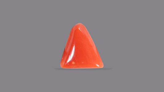 Italian Red Coral 6.06 Carats / 6.66 Ratti