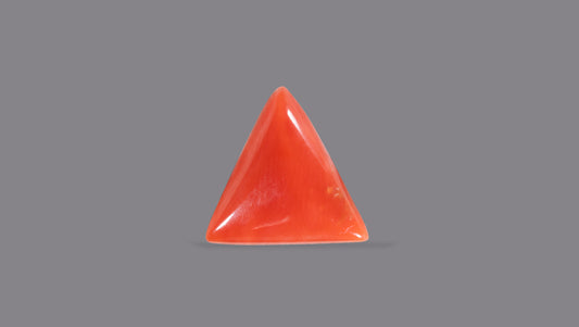 Italian Red Coral 4.95 Carats / 5.44 Ratti