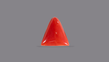 Italian Red Coral 5.70 Carats / 6.26 Ratti