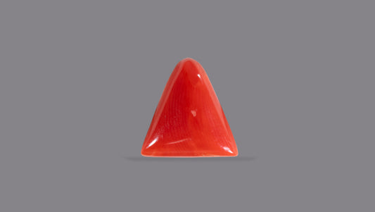 Italian Red Coral 5.70 Carats / 6.26 Ratti