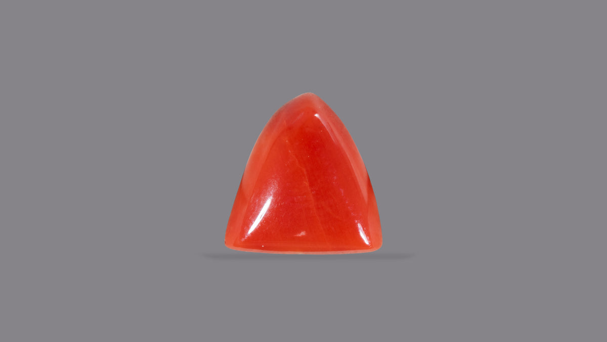 Italian Red Coral 6.13 Carats / 6.74 Ratti