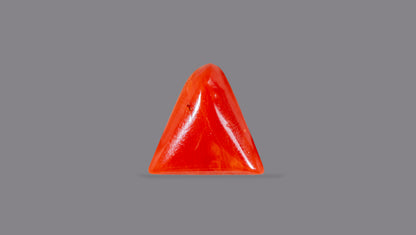 Italian Red Coral 5.39 Carats / 5.92 Ratti