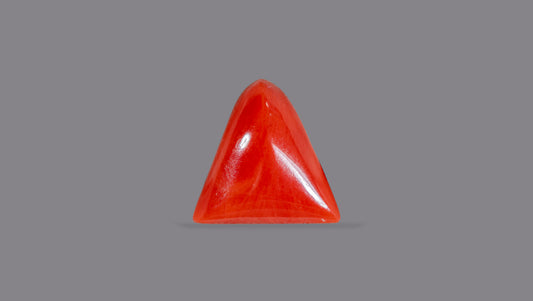 Italian Red Coral 5.23 Carats / 5.75 Ratti