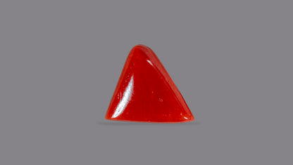 Italian Red Coral 5.23 Carats / 5.75 Ratti