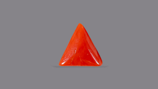 Italian Red Coral 6.16 Carats / 6.77 Ratti