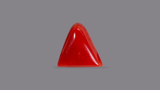 Italian Red Coral 5.10 Carats / 5.6 Ratti