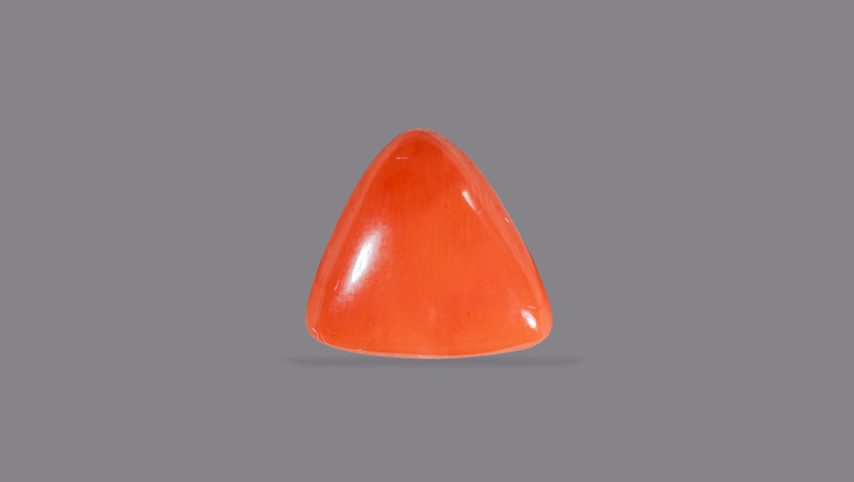 Italian Red Coral 9.02 Carats / 9.91 Ratti