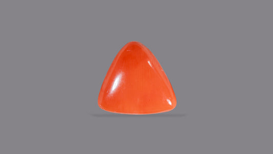Italian Red Coral 9.02 Carats / 9.91 Ratti