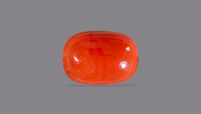 Italian Red Coral 5.90 Carats / 6.48 Ratti