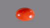 Japanese Red Coral 4.21 Carats / 4.63 Ratti