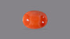 Japanese Red Coral 7.50 Carats / 8.24 Ratti