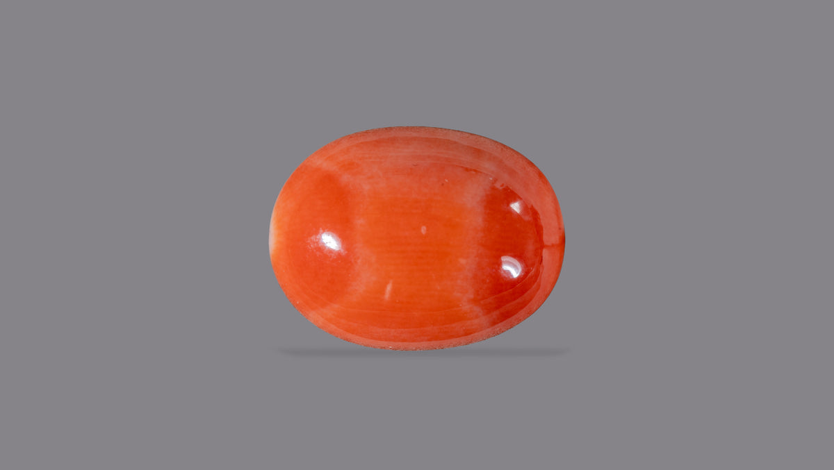 Japanese Red Coral 7.50 Carats / 8.24 Ratti