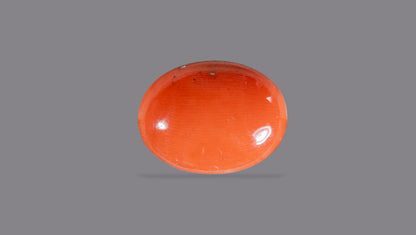Japanese Red Coral 8.40 Carats / 9.23 Ratti