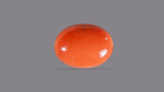 Japanese Red Coral 8.40 Carats / 9.23 Ratti