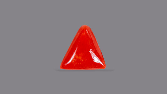 Italian Red Coral 5.21 Carats / 5.73 Ratti