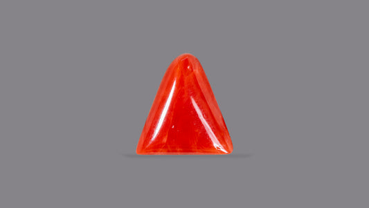 Italian Red Coral 6.04 Carats / 6.64 Ratti