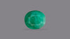 Zambian Emerald (Panna) 6.11 Carats / 6.71 Ratti