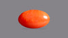 Japanese Red Coral 7.20 Carats / 7.91 Ratti