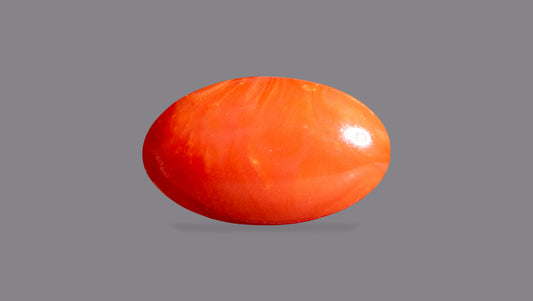 Japanese Red Coral 7.20 Carats / 7.91 Ratti