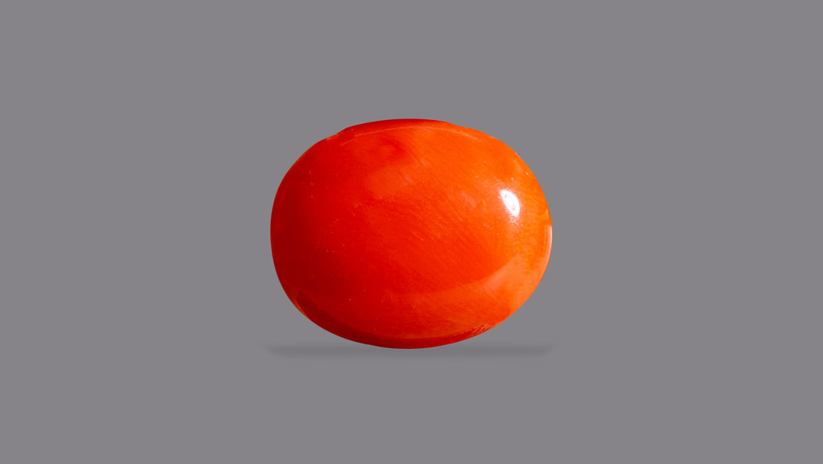 Japanese Red Coral 6.47 Carats / 7.11 Ratti