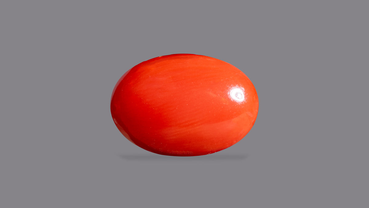 Japanese Red Coral 5.67 Carats / 6.23 Ratti