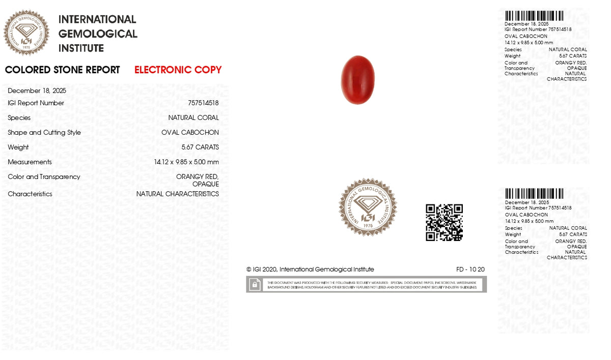 Japanese Red Coral 5.67 Carats / 6.23 Ratti