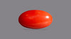 Japanese Red Coral 6.86 Carats / 7.54 Ratti