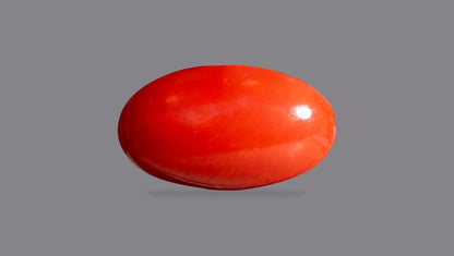 Japanese Red Coral 6.86 Carats / 7.54 Ratti