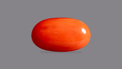Japanese Red Coral 5.79 Carats / 6.36 Ratti