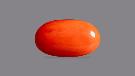 Japanese Red Coral 5.79 Carats / 6.36 Ratti