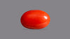 Japanese Red Coral 6.75 Carats / 7.42 Ratti