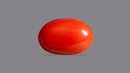 Japanese Red Coral 6.75 Carats / 7.42 Ratti