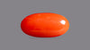 Japanese Red Coral 6.44 Carats / 7.08 Ratti