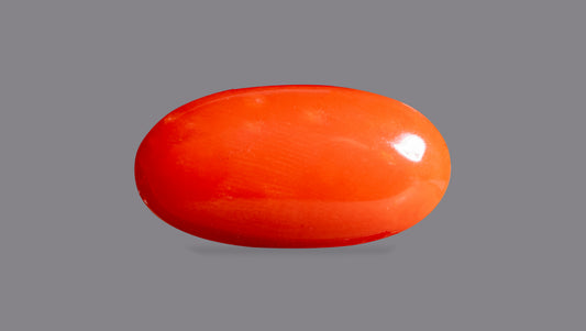 Japanese Red Coral 6.44 Carats / 7.08 Ratti